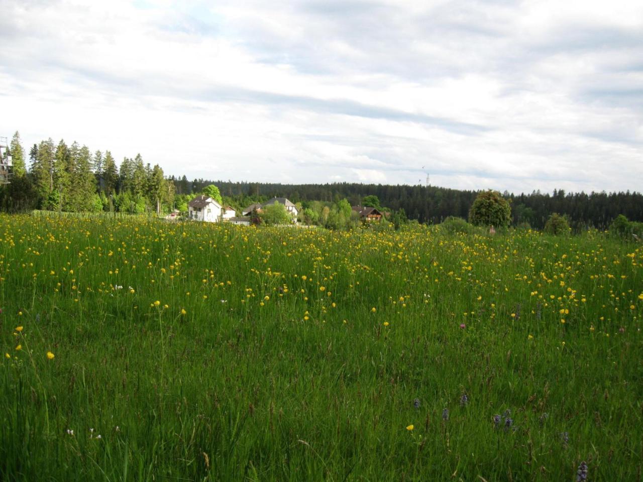 Haus Schoenblick Книбис Екстериор снимка